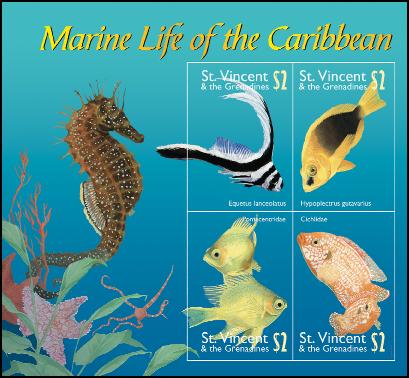 Caribbeanmarinelifelines