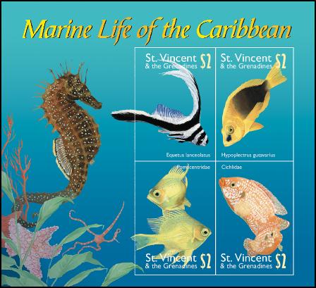 Caribbeanmarinelifelines1